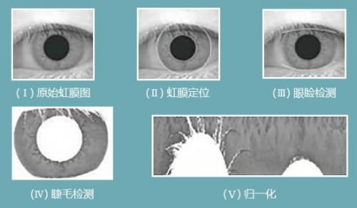 虹膜傳感器，戴眼鏡也能秒解鎖