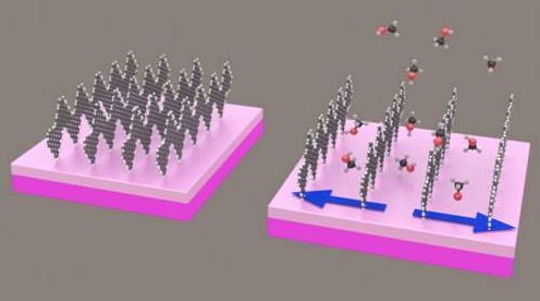 年終大盤點(diǎn)：傳感器行業(yè)十大熱點(diǎn)回顧